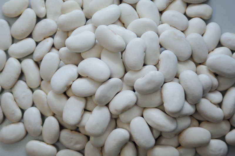 Dried White Kidney Beans