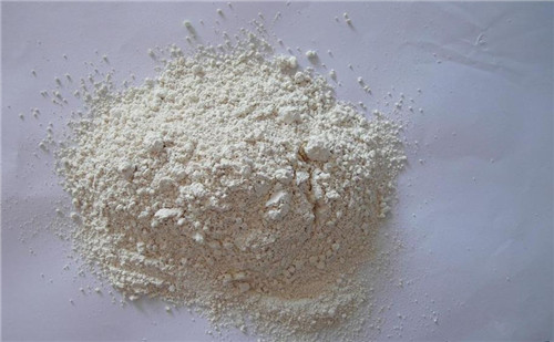 Dehydrated Garlic Powder