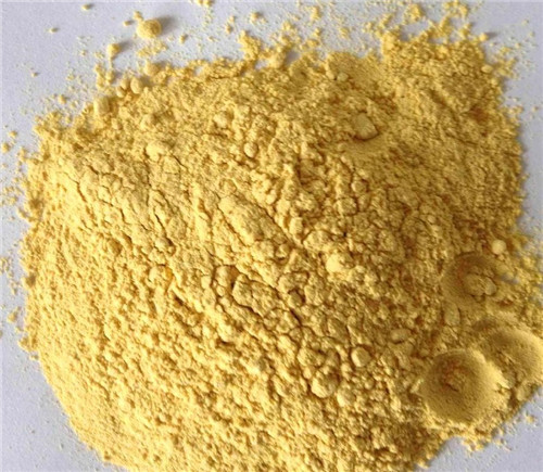 Dehydrated Pumpkin Powder