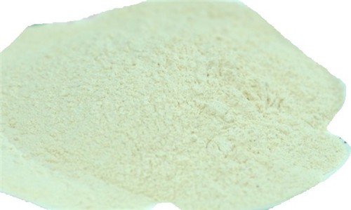 Dehydrated Apple Powder