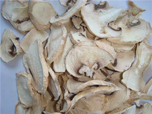 Dehydrated Mushroom Slices