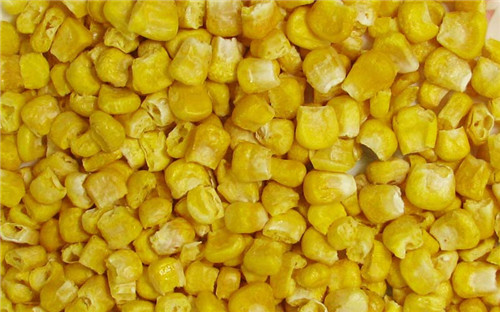 Freeze Dried Sweet Corn Kernels