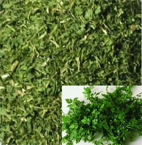 Dried Coriander