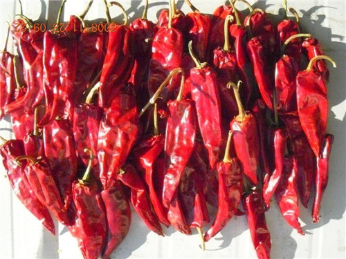 Dried chilli 