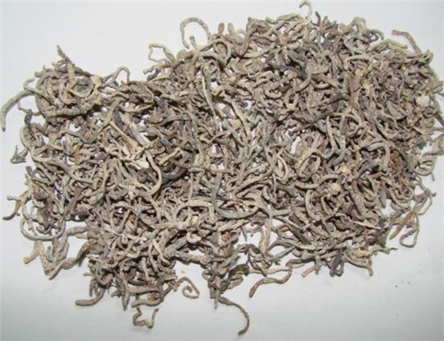 Microwave Dried White Earthworm