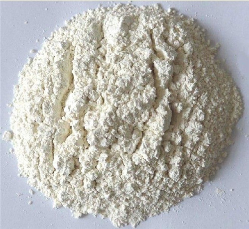 Dehydrated Onion Powder